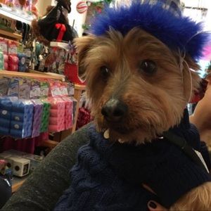 Meet your Posher, Victoria